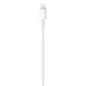 APPLE PD CABLE GOLDEN PIN