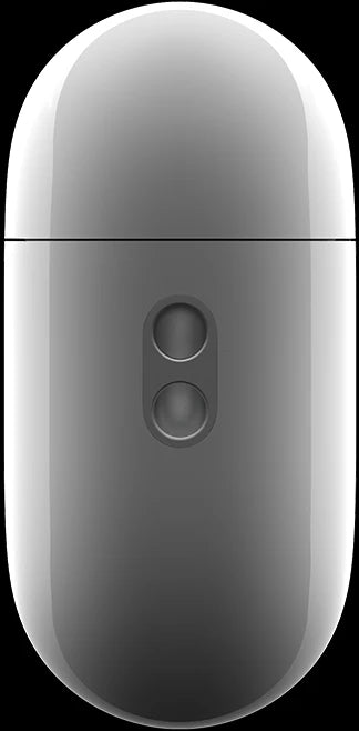 APPLE PRO 2